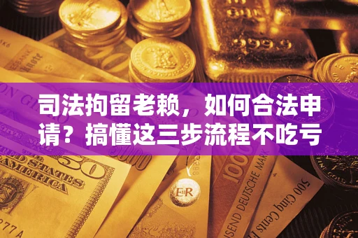 武汉司法拘留老赖，如何合法申请？搞懂这三步流程不吃亏！