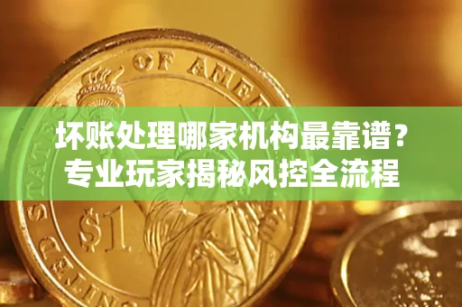 武汉坏账处理哪家机构最靠谱？专业玩家揭秘风控全流程