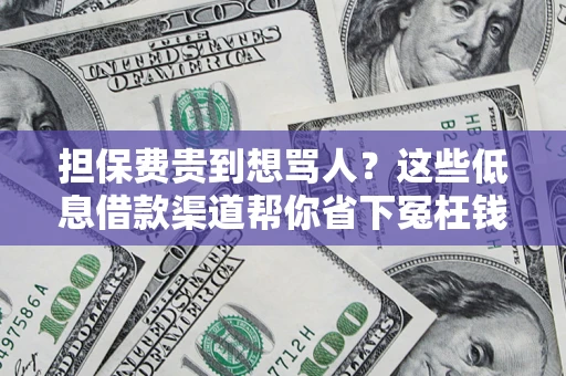 武汉担保费贵到想骂人？这些低息借款渠道帮你省下冤枉钱