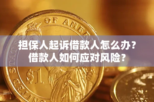 武汉担保人起诉借款人怎么办？借款人如何应对风险？
