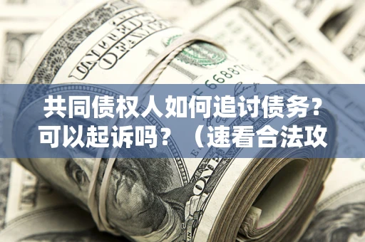 武汉共同债权人如何追讨债务？可以起诉吗？（速看合法攻略）