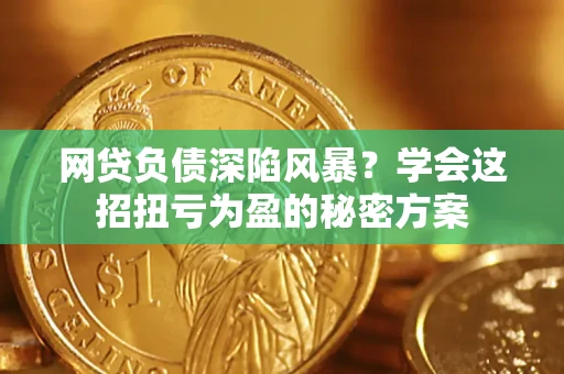 武汉网贷负债深陷风暴？学会这招扭亏为盈的秘密方案
